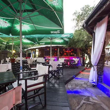 Coral 3* Obzor