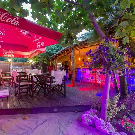 Coral 3* Obzor
