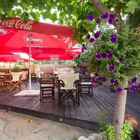 Coral 3* Obzor