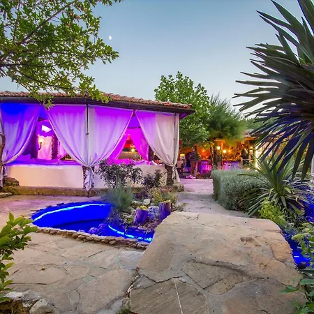 Coral Guest house 3*