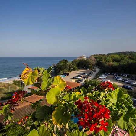 Coral Guest house